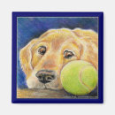 Suche nach retrieverhund Golden retriever