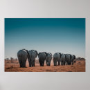 Suche nach etosha poster National