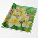 Suche nach hawaii blume geschenkpapier Botanisch
