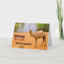 Recherche de camel vœux cartes Faune