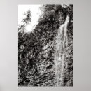 Suche nach schwarze bäume poster Fotografie