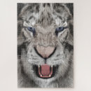 Recherche de tigre blanc puzzles Animal sauvage