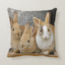 Recherche de lapins mignons coussins Nature