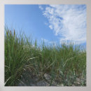 Recherche de dunes posters Sable