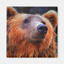 Suche nach wildlife magnete Tier
