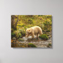 Suche nach kolumbien waren leinwandbilder Wälder