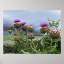 Suche nach schottisches poster Schottland