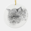 Recherche de persan ornements Animal