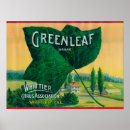 Suche nach greenleaf poster Presse
