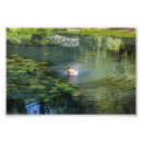 Recherche de canards posters Été