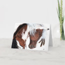Recherche de pinto vœux cartes Poney