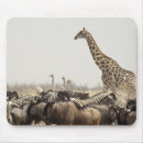 Suche nach einsam mousepads Himmel