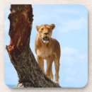 Suche nach gefährlich untersetzer Groß