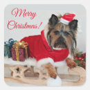 Recherche de noël de terrier autocollants Chiot