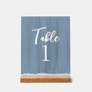 Suche nach nicht plastik poster Staubblau