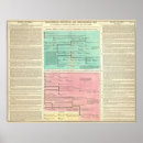 Suche nach timeline poster Genealogie