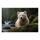 Suche nach spirit bear poster Weißbär