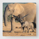 Suche nach african elephant wanduhren Color image