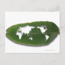 Recherche de image dange cartes postales Gros plan
