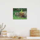 Suche nach rosa fahrrad poster Sommer