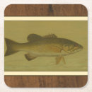 Suche nach baß untersetzer Fischerei