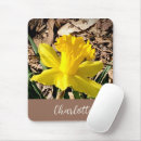 Recherche de jonquilles tapis souris Photographie