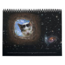 Suche nach lustige tiere kalender Für sie