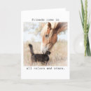 Recherche de chat et cheval vœux cartes Amitié