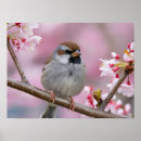 Recherche de fermeture posters De près