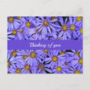 Suche nach aster blume postkarten Weisheit