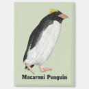 Suche nach der pinguin magnete Vogelvogel