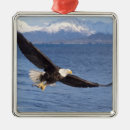 Recherche de aigle ornements Oiseau de proie