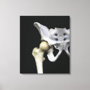 Recherche de articulation art Os