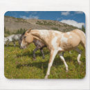 Suche nach maultiere mousepads Bauernhof