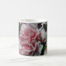 Recherche de oeillet rose tasses Carnation