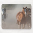 Suche nach wilder mustang mousepads Pferde