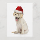 Recherche de parties du corps cartes postales Image couleur