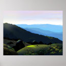 Suche nach kolibris poster Landschaft