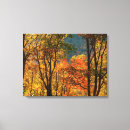 Suche nach laub leinwandbilder Orange