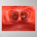 Recherche de poumons humains posters 3d