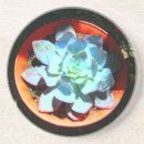 Recherche de usine dessous de verres Cactus
