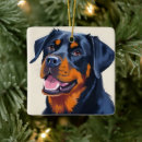 Recherche de rottweiler ornements Animal de compagnie