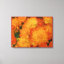 Suche nach chrysanthemen leinwandbilder Herbst