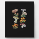 Suche nach schnecke fotoplatten Wald