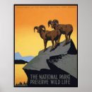 Suche nach wildes leben poster Vintag