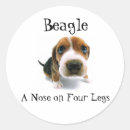 Suche nach nase aufkleber Beagle