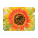 Suche nach sonnenblume magnete Usa