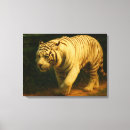 Suche nach weißer tiger leinwandbilder Tigerkunst