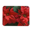 Suche nach weihnachtsstern magnete Botanisch