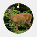 Recherche de mâle ornements Chasseur